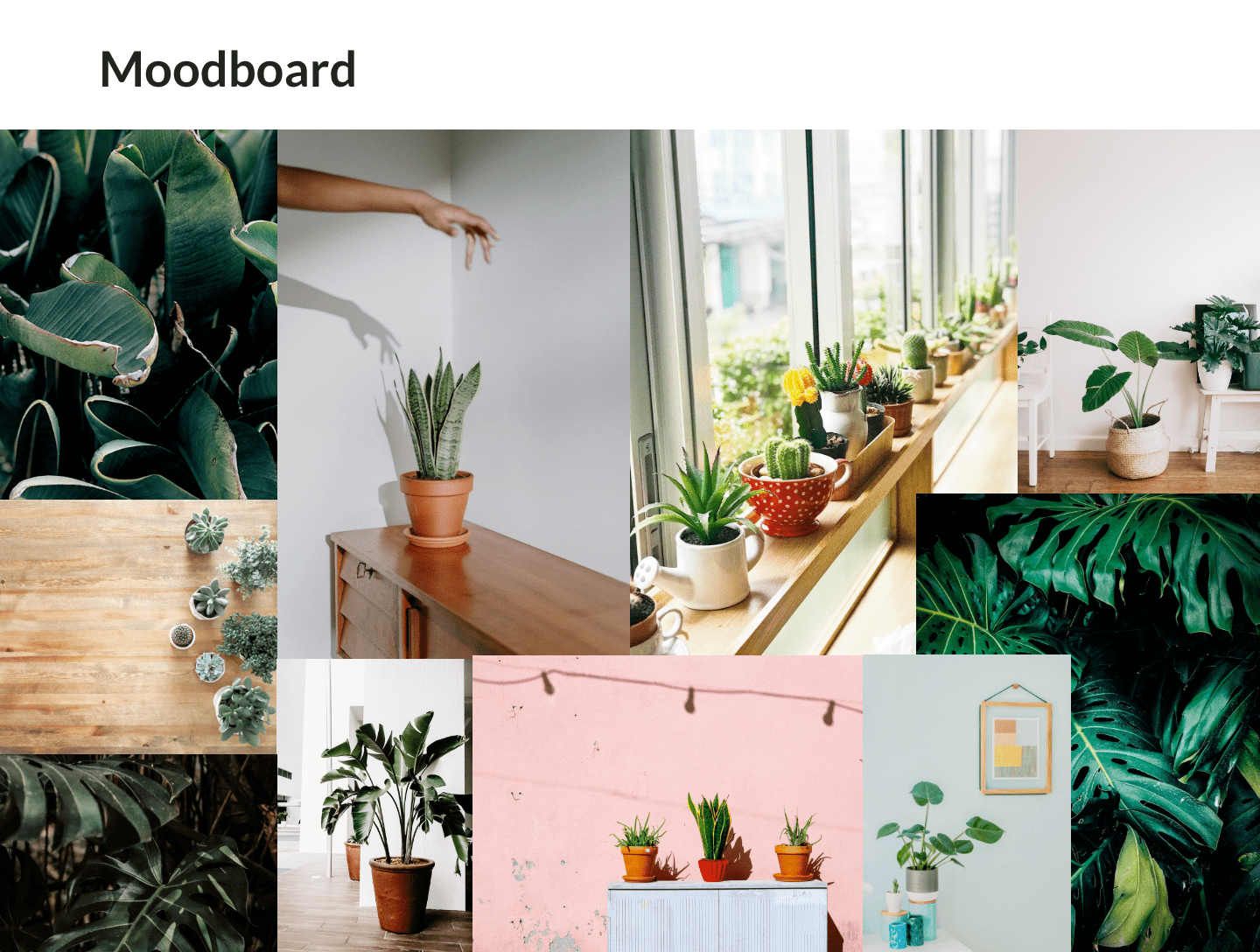 view moodboard